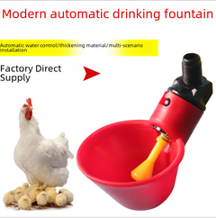 Chick Watering Bowl for Quail and Pigeon Wholesale