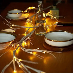LED Christmas Lights Warm White Battery Operated Indoor Outdoor Decoration