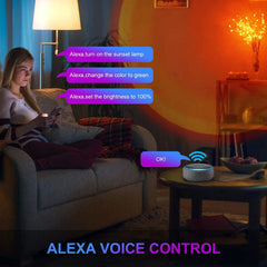 RGB Remote Floor Lamp
