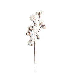 Dried Cotton Flower Stems for DIY Bouquet Decoration
