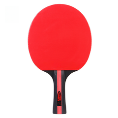 REGAIL Red Long Handle Table Tennis Racket for Training