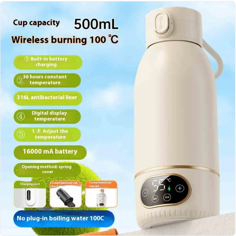 Portable Electric Kettle